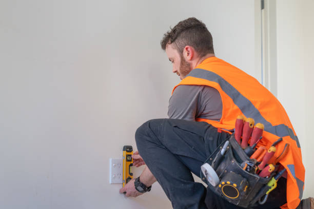 Best Electric Panel Repair  in La Grange Park, IL